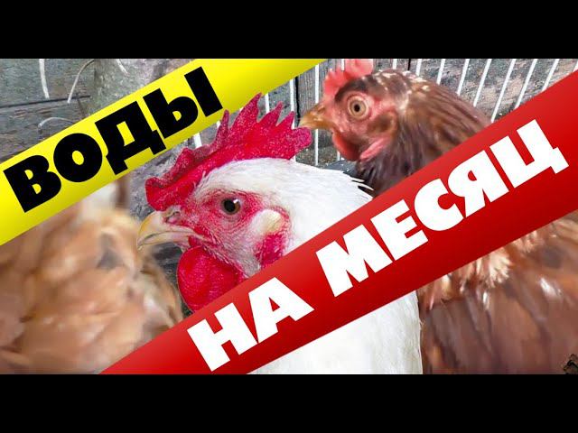 Поилка для кур с алиэкспресс ВОДЫ хватит хоть НА МЕСЯЦ смотреть онлайн