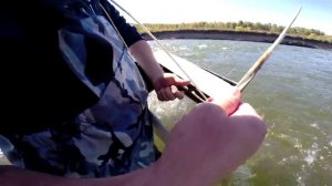 Ловля хариуса на телевизор. Река Бия.