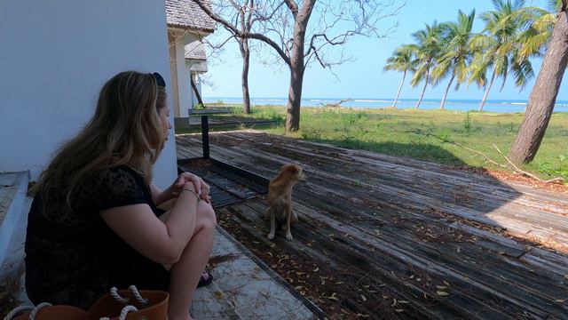 Монолог с собакой. Шри-Ланка 2024