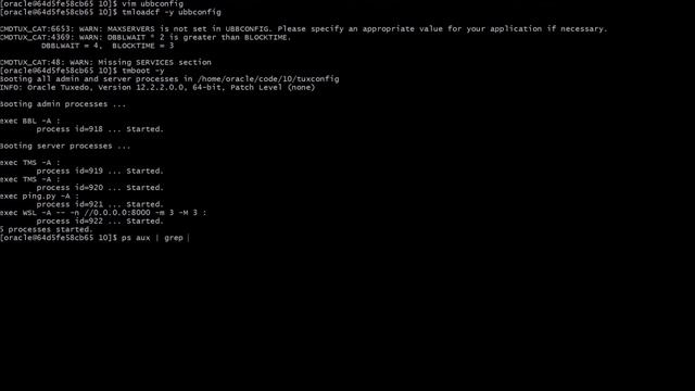 Modernizing Oracle Tuxedo Applications with Python | 10. Accessing the Tuxedo Application смотреть онлайн