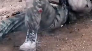 В военкомате случай был (армейская песня)