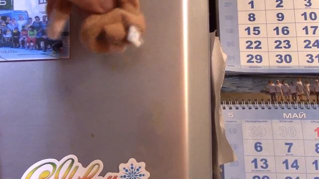 Кто ходит в гости по ночам - тот МЫ ) В гостях у Лены и её зверей) смотреть онлайн