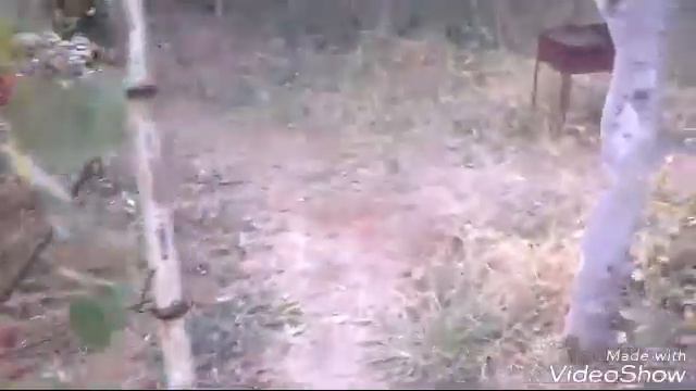 Дача моего деда смотреть онлайн