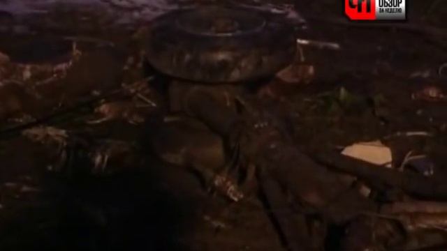 ПОСЛЕДНИЙ РЕЙС ТУ-134.МОСКВА-ПЕТРОЗАВОДСК. смотреть онлайн