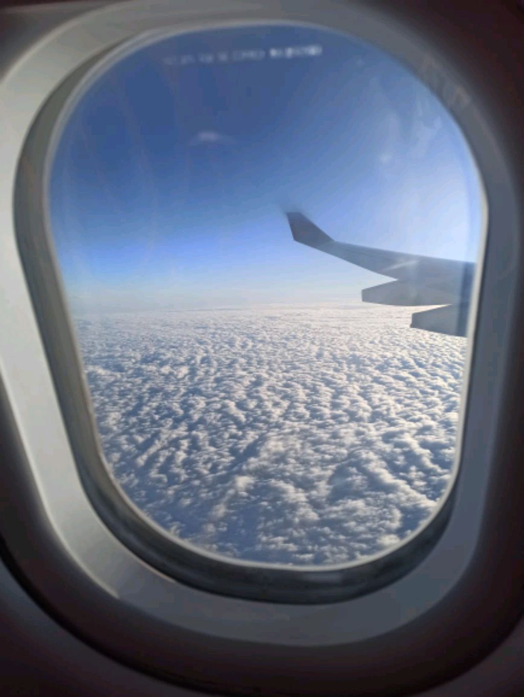 🌹🌹делаю трансляции🌹🌷 смотреть онлайн