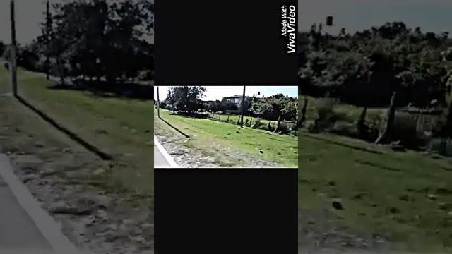 Грузия .Зугдиди .Едим на море смотреть онлайн