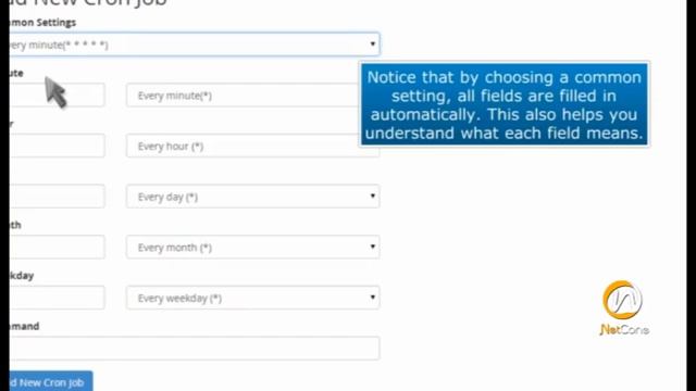 How to Setup a Cron Job in cPanel | NetCone Hosting Bangladesh смотреть онлайн