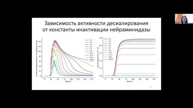 О.И.Ан - Компьютерное моделирование усиления десиалирования гликокаликса смотреть онлайн