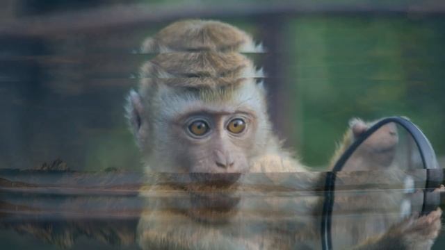 Приметы и поверья о зеркалах: как покупать, как избавиться от старого и что делать, если разбилось смотреть онлайн