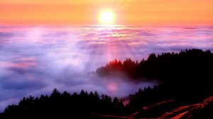 Присутствие | То, что действительно важно | Экхарт Толле