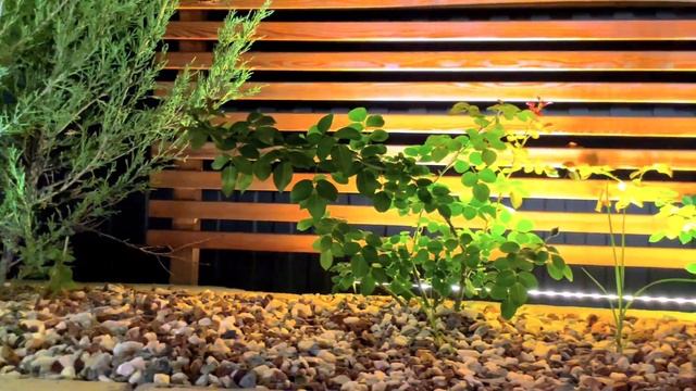 Обзор ландшафтного освещения на участке + управление светом смотреть онлайн