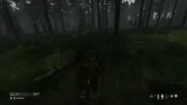 Chillin on dayz for a lil bit смотреть онлайн