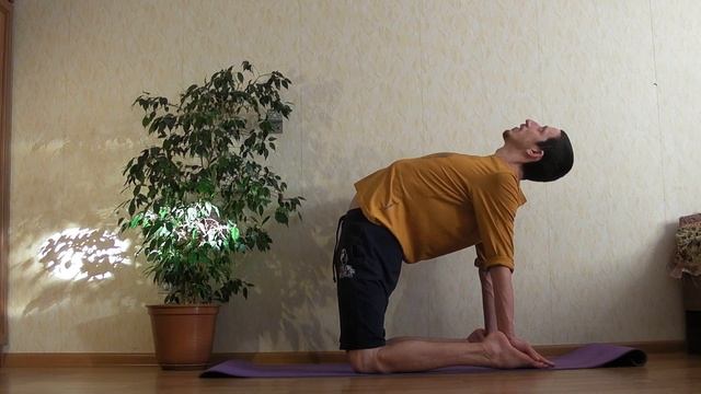 Уштрасана/ поза верблюда *3 (Техника выполнения асан йоги) смотреть онлайн
