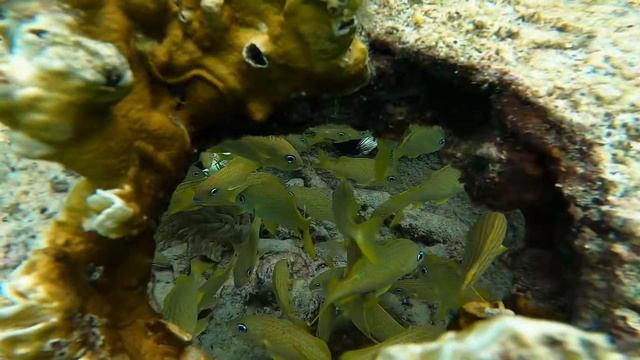 VISIT WILLEMSTAD CURACAO смотреть онлайн