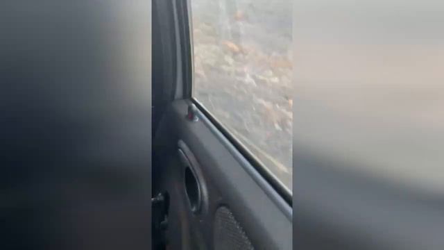 Горит мурзичное поле Видео Марины Железцовой смотреть онлайн