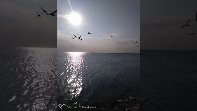 Азовское море. Красивые фото ноябрь 2020 смотреть онлайн