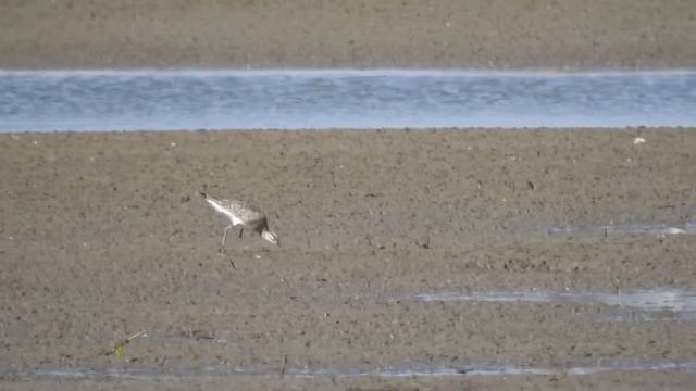 DSCN1090 смотреть онлайн