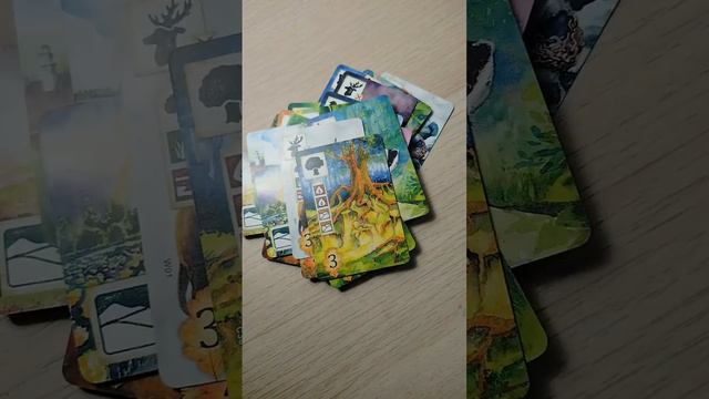 Настольная игра «Поляна». Карты севера. #boardgames #настольнаяигра #games #hobbygames смотреть онлайн