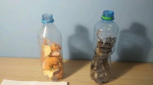 Как сделать удобрение для растений из кожуры мандаринов и бананов.