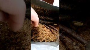 Окоренение черенков грецкого ореха 2