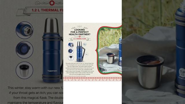 Tupperware December Flyer 2020 смотреть онлайн