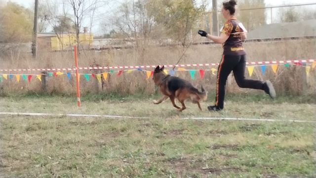 Ветераны суки - моно в Краснодаре 2023