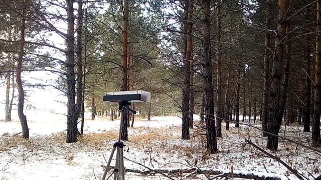 Отстрел самодельных контейнеров и старые парковые патроны смотреть онлайн