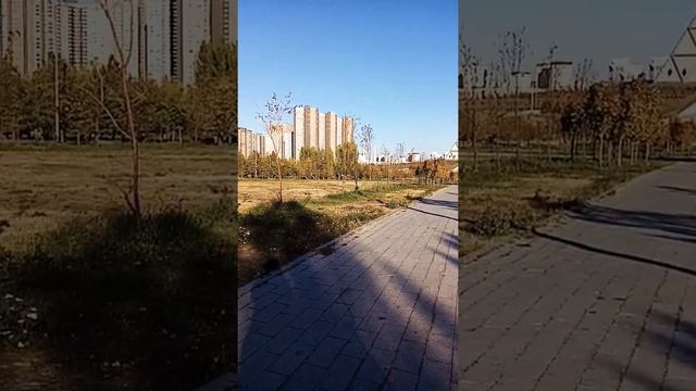 пирамида /Астана/парк/Нур-Султан смотреть онлайн