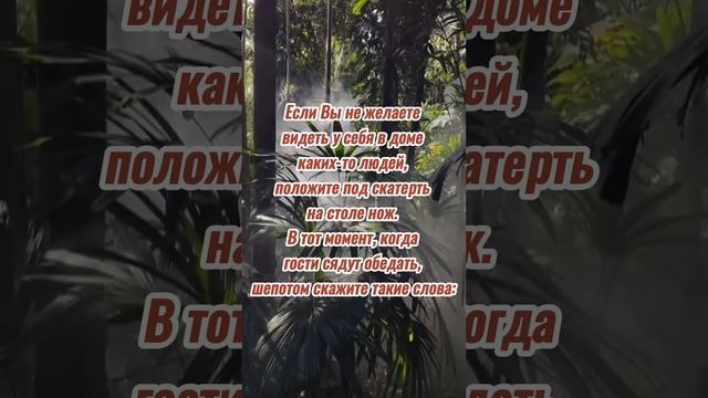 Заговор от Нежеланных Гостей. Часть 2. #shortsvideo #shortsyoutube #viralshorts #shorts #youtube смотреть онлайн