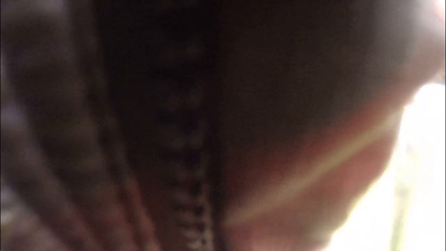 Рыбалка в Подмосковье. Ловлю и отпускаю. смотреть онлайн