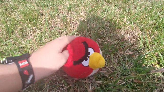Angry Birds Toons Egg's Day Out