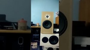#Rfmaudio #Rfm audio # scan speak #scanspeakspeaker