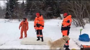 Спустя 10 дней нашли тело женщины, утонувшей на Крещение в проруби.