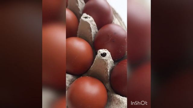 МАРАНЫ ЛПХ ЛИПАТОВА АНАСТАСИЯ Г. ЗАРАЙСК // ВАЦАП ДЛЯ ЗАКАЗА 8-915-245-81-59 ПИСЬМЕННО смотреть онлайн