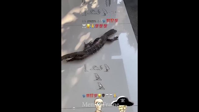 offensive memes that if ylyl v89 смотреть онлайн