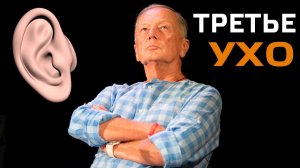 ТРЕТЬЕ УХО - Михаил Задорнов | Концерт Задорнова @zadortv #юмор