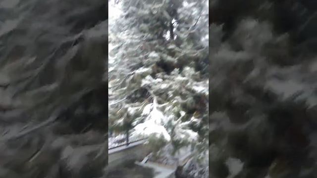 Моя школа. My school. смотреть онлайн