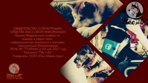 Технические неполадки Пёс и Ко (10.03.2023)
