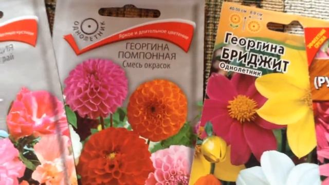 Посадка цветов Мой обзор по сортам 18 Марта Дача смотреть онлайн