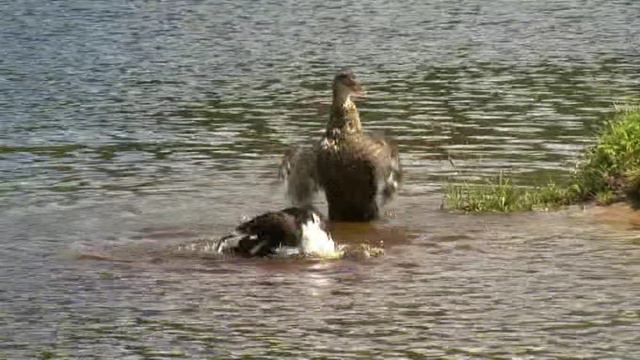 03 Семейство LADA 110