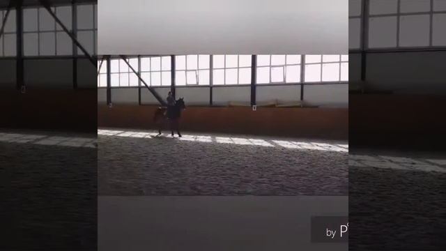 Украинская Верховая Порода смотреть онлайн