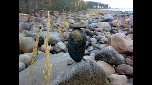 Как Сделать Сад Камней Своими Руками / Ландшафтный дизайн / Sekretmastera смотреть онлайн