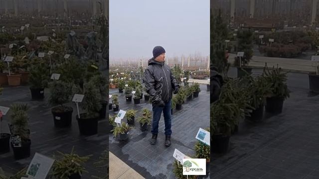 А можно ли сажать растения в ноябре смотреть онлайн