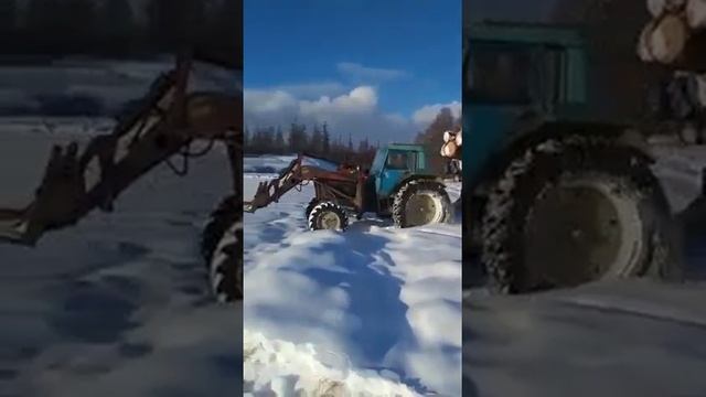 МТЗ-82 возит лес хлыстом. Якутия. смотреть онлайн