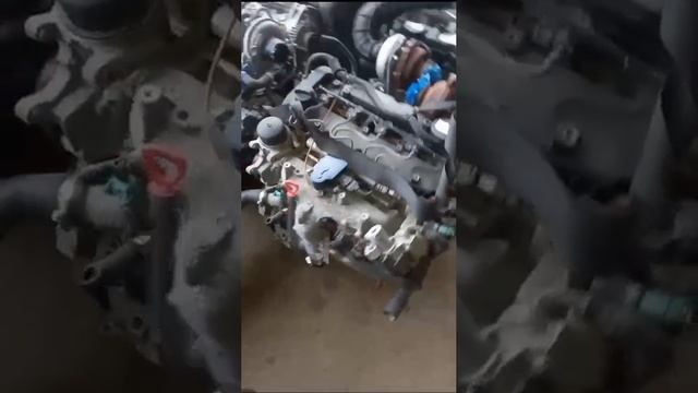 видео наши моторы