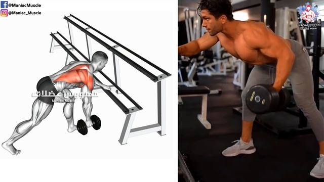 How To Build Your Back Workout With Dumbbells ?(6 Exercises) смотреть онлайн