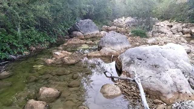 На реке Кокозке дружно скачут козки. смотреть онлайн