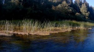 Болотоход SEA PRO 6 5 лс