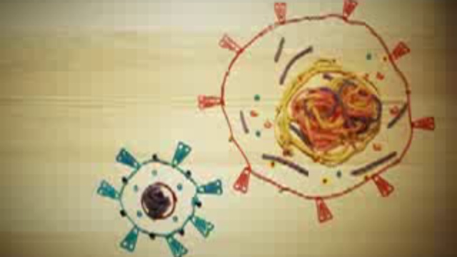 Что такое ВИЧ/СПИД?