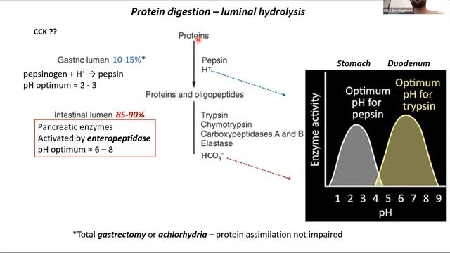 Assimilation of Nutrients I Ghazi Alabdul Razzak I GIT 113 PAL review session